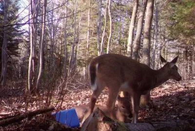 Hey mom! All this eating made me tired!