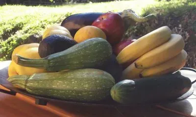 frutos jigsaw puzzle