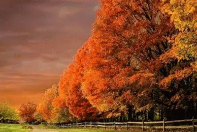 paisagens
