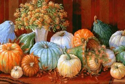 ir567bdvr tuhbk ht rtfg