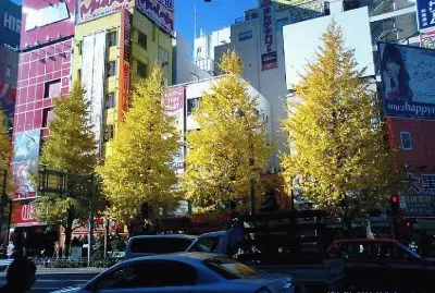 as  belesas  do  japÃ£o