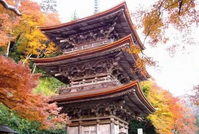 as  belesas  do  japÃ£o