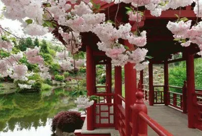 פאזל של as  belesas  do  japÃ£o