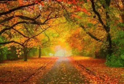 as  belesas  do  japÃ£o