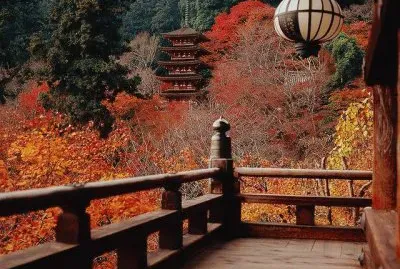 as  belesas  do  japÃ£o