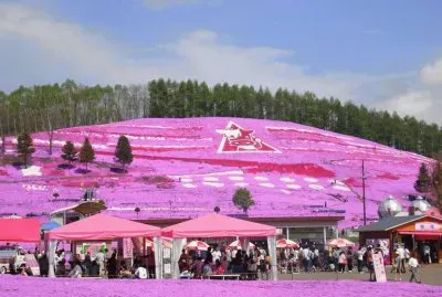 as  belesas  do  japÃ£o