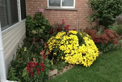 649