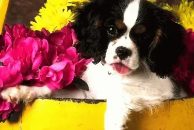 987ozukgjmn7v8 tuzfjn