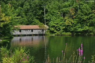 paisaje jigsaw puzzle