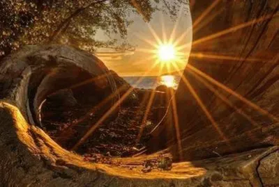 פאזל של imagens