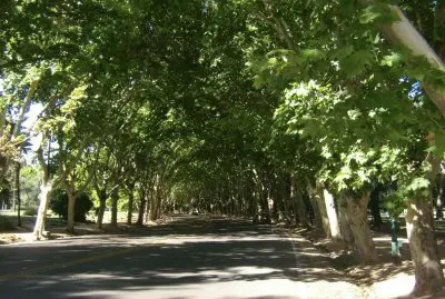 En la Ciudad de Mendoza. Argentina