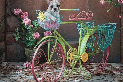 907fz uurr6r 7 tzr 5fzurzr f