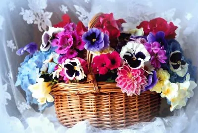 97m8 6r ftuhgf drcku fdrzd kzhc