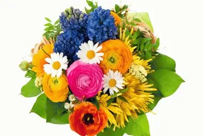 387c  66 674 7 ztrz5ftz