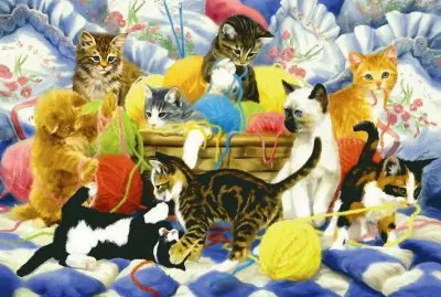 0p 9p98pÃ¶ 9o uu9Ã¶p9 oz7iutk