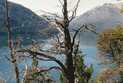 Lago Mascardi. Provincia de RÃ­o Negro. Argentina