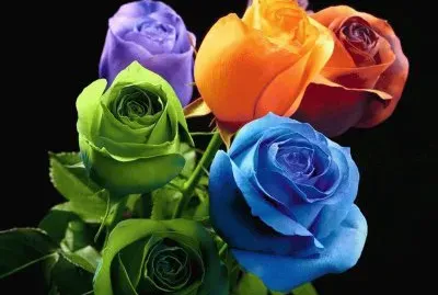 h uig z tu uzg zg g. hg ih