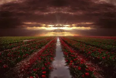 horizonte