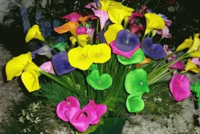 calas a todo color