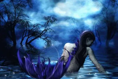 fantasia jigsaw puzzle