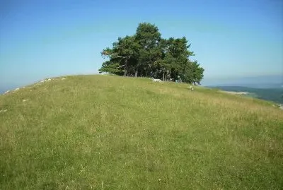 Landschaft