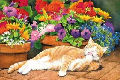 gato jigsaw puzzle