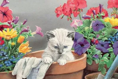 gato jigsaw puzzle