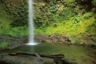 CaÃ­da de Spanny. Isla Dominica jigsaw puzzle