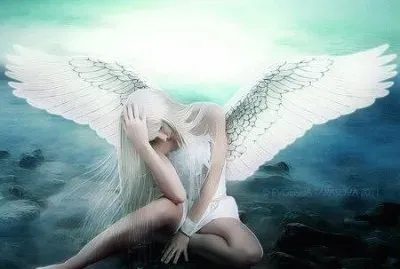 פאזל של imagens