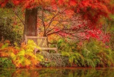 Color de otoÃ±o.