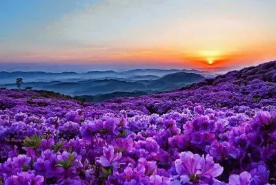 Natureza