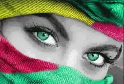 פאזל של imagens