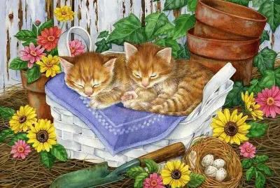 ss383 jigsaw puzzle