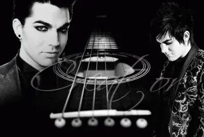 Adam Lambert Wallpaper
