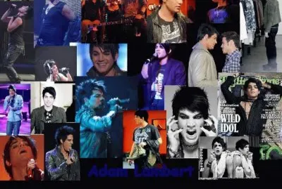 Adam Lambert Wallpaper