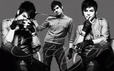 Adam Lambert Aol Sessions Wallpaper