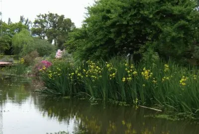 En Escobar. Buenos Aires. Argentina