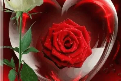 imagens jigsaw puzzle