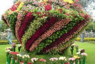 imagens  de  flores