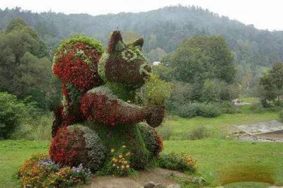 imagens  de  flores jigsaw puzzle