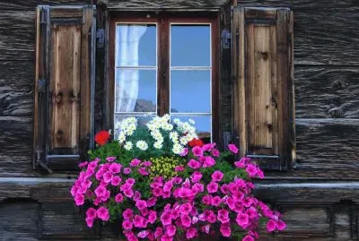 פאזל של ventana florida