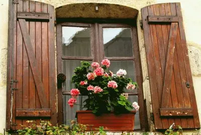 פאזל של ventana con flores