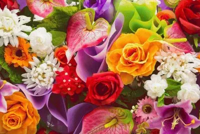 00000,,,kjhu7hz6ttttt