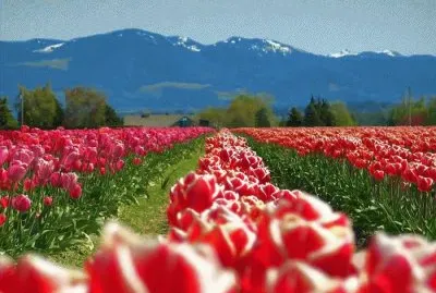 Natureza jigsaw puzzle