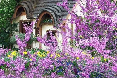 jardin