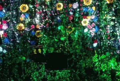 jardin