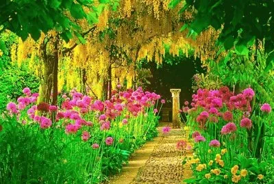 jardin