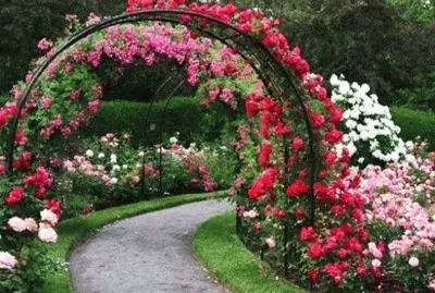 פאזל של jardin