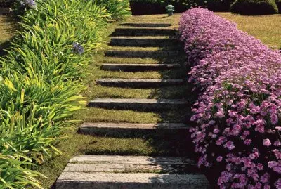 Natureza jigsaw puzzle