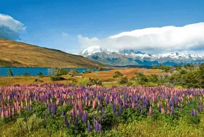 Natureza jigsaw puzzle